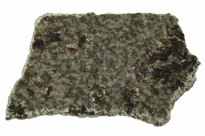 Polished Martian Meteorite Slice ( g) - NWA #249915
